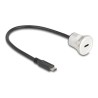 Delock - Prodlužovací USB kabel - 24 pin USB-C (M) do 24 pin USB-C (F) montáž na panel - 30 cm - M22 závit - cerná, stríbrná