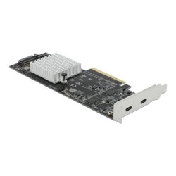 Delock - USB adaptér - PCIe 2.0 x8 nízký profil - USB-C 3.2 Gen 2x2 x 2