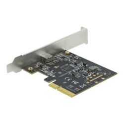 Delock - USB adaptér - PCIe 3.0 x4 nízký profil - USB 3.2 Gen 2x2 x 1