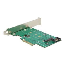 Delock - Řadič úložiště - mSATA - eSATA 6Gb/s, PCIe x4