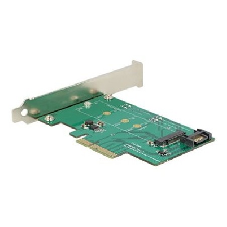 Delock - Řadič úložiště - mSATA - eSATA 6Gb/s, PCIe x4