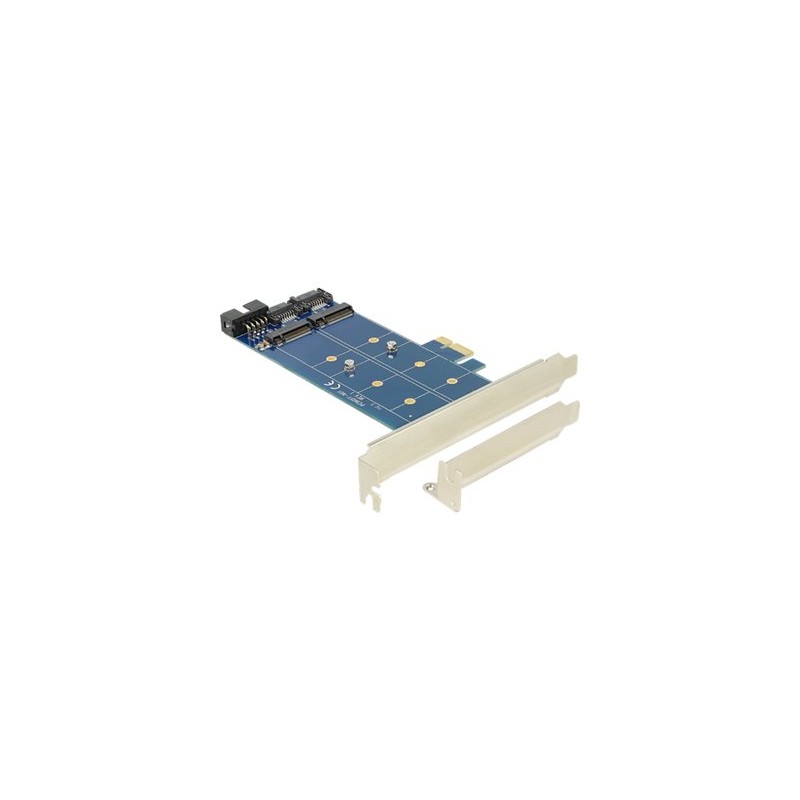 Delock PCI Express Card 2 x internal M.2 NGFF - Radic úložište - USB 2.0 / M.2 Card / SATA 6Gb/s - nízký profil - PCIe x1