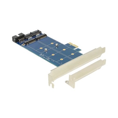 Delock PCI Express Card 2 x internal M.2 NGFF - Radic úložište - USB 2.0 / M.2 Card / SATA 6Gb/s - nízký profil - PCIe x1