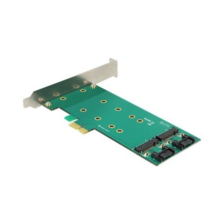 Delock PCI Express Card 2 x internal M.2 - Řadič úložiště - M.2 Card / SATA 6Gb/s - nízký profil - PCIe x1