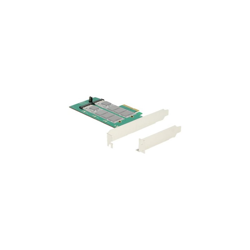Delock PCI Express Card 2 x internal M.2 Key B with RAID - Řadič úložiště - M.2 Card - nízký profil - RAID RAID 0, 1 - PCIe 2.0