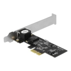 Delock - Síťový adaptér - PCIe 2.1 nízký profil - 2.5GBase-T