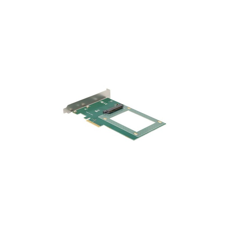Delock - Řadič úložiště - 2.5" - 1 Kanál - NVMe - PCIe 4.0 x4