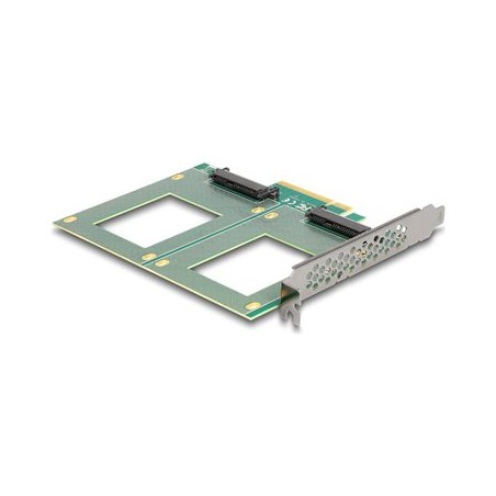 Delock - Radic úložište - rozdvojení, 144 x 122 mm - U.2 NVMe - PCIe 4.0 x8