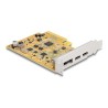 Delock - USB adaptér - PCIe 3.0 x4 nízký profil - USB 3.2 Gen 2 x 2 + DisplayPort x 1