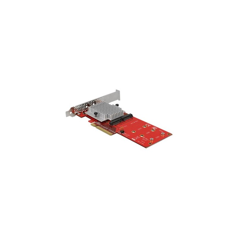Delock PCI Express Card 2 x internal M.2 - Adaptér rozhraní - M.2 Card - nízký profil - PCIe 3.0 x8