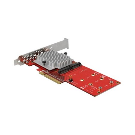 Delock PCI Express Card 2 x internal M.2 - Adaptér rozhraní - M.2 Card - nízký profil - PCIe 3.0 x8