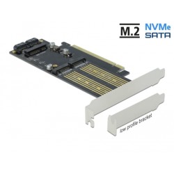Delock - Řadič úložiště - mSATA, M.2 - M.2 Card / mSATA - nízký profil - SATA 6Gb/s, PCIe 4.0 x16
