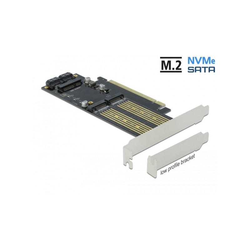 Delock - Řadič úložiště - mSATA, M.2 - M.2 Card / mSATA - nízký profil - SATA 6Gb/s, PCIe 4.0 x16