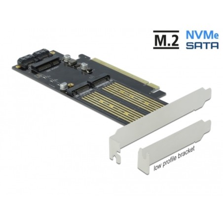 Delock - Řadič úložiště - mSATA, M.2 - M.2 Card / mSATA - nízký profil - SATA 6Gb/s, PCIe 4.0 x16