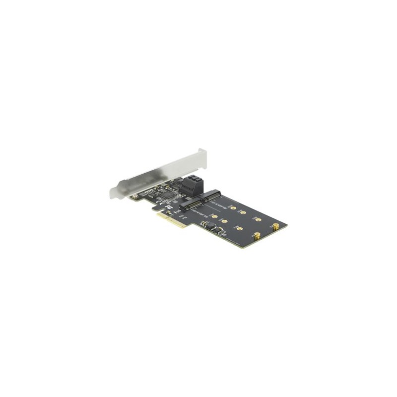 Delock 3 port SATA and 2 slot M.2 Key B PCI Express x4 Card - Low Profile Form Factor - Řadič úložiště - M.2 - M.2 Card / SATA