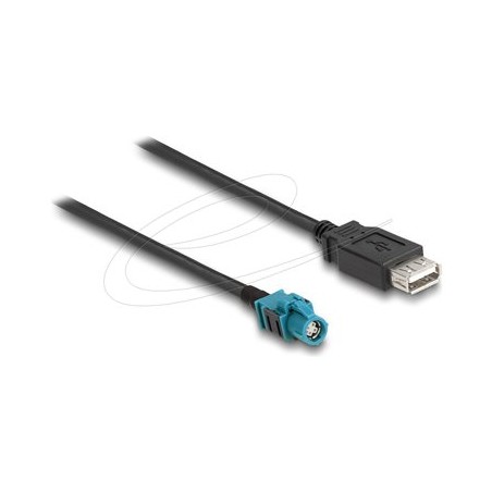 Delock - Datový kabel - HSD Z se zdírkami (female) do USB se zdírkami (female) - 1 m - RAL 5021