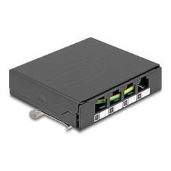 Delock - Patch panel (záslepný) - for keystone RJ-modules - montáž na kolejnici DIN, povrchová montáž, montáž na stenu - cerná