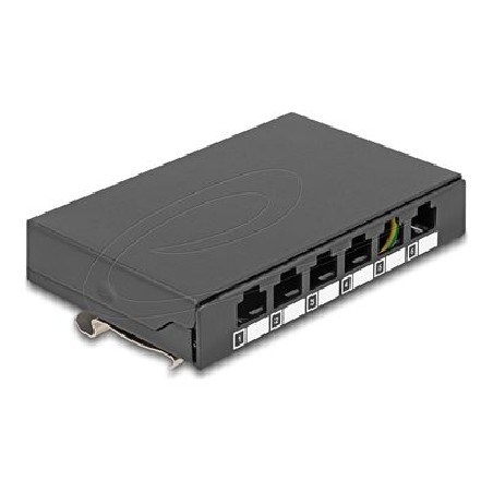 Delock - Patch panel (záslepný) - for keystone RJ-modules - montáž na kolejnici DIN, povrchová montáž, montáž na stenu - cerná