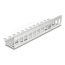Delock - Keystone adaptér - kov - montáž na kolejnici DIN, montáž na stenu - 12 portu