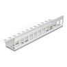 Delock - Keystone adaptér - kov - montáž na kolejnici DIN, montáž na stenu - 12 portu