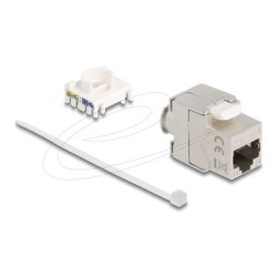 Delock - Modul keystone - RJ-45 (F) do LSA (F) úhel - CAT 6a - krátký, tenký - stríbrná, bílá
