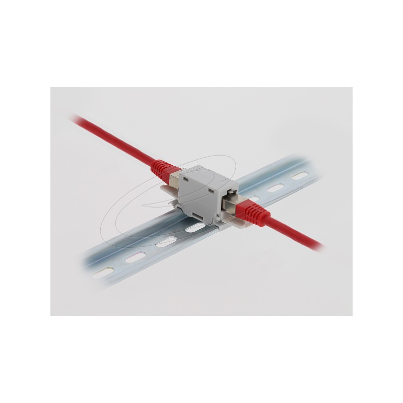 Delock - Sítový propojovací kabel - RJ-45 (F) do RJ-45 (F) - CAT 6a - vulkanizacní uzáver, montáž na DIN lištu - šedá