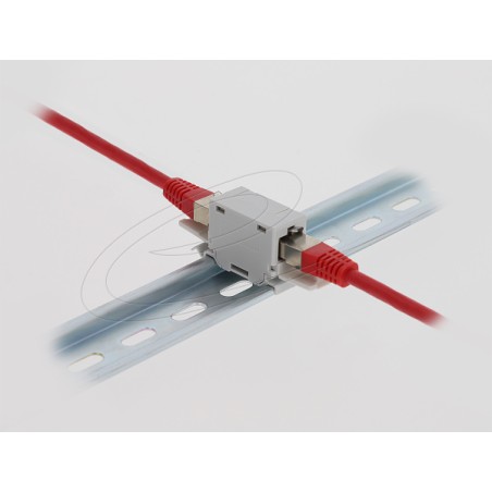 Delock - Sítový propojovací kabel - RJ-45 (F) do RJ-45 (F) - CAT 6a - vulkanizacní uzáver, montáž na DIN lištu - šedá