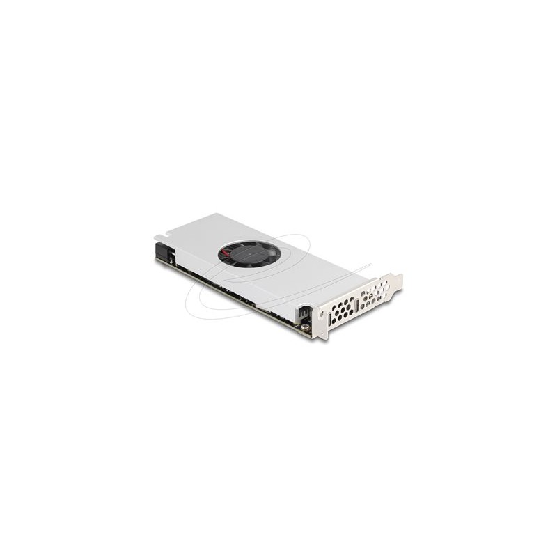 Delock - USB adaptér - PCIe 3.0 x16 nízký profil - USB-C x 2