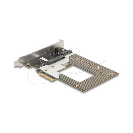 Delock - Adaptér rozhraní - M.2 NVMe Card / PCIe 4.0 (NVMe) - PCIe 4.0 x4