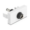 Delock - Easy 45 - zacvakávací modul - DC 5.5 x 2.1 mm (samice) - 1 napájecí zásuvka - 1 modul - bílá