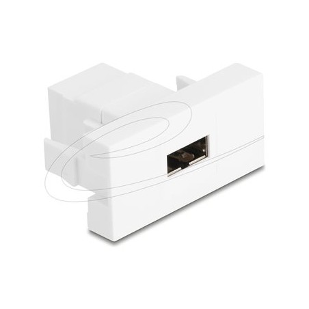 Delock - Easy 45 - zacvakávací modul - USB - 1 souprava - bílá