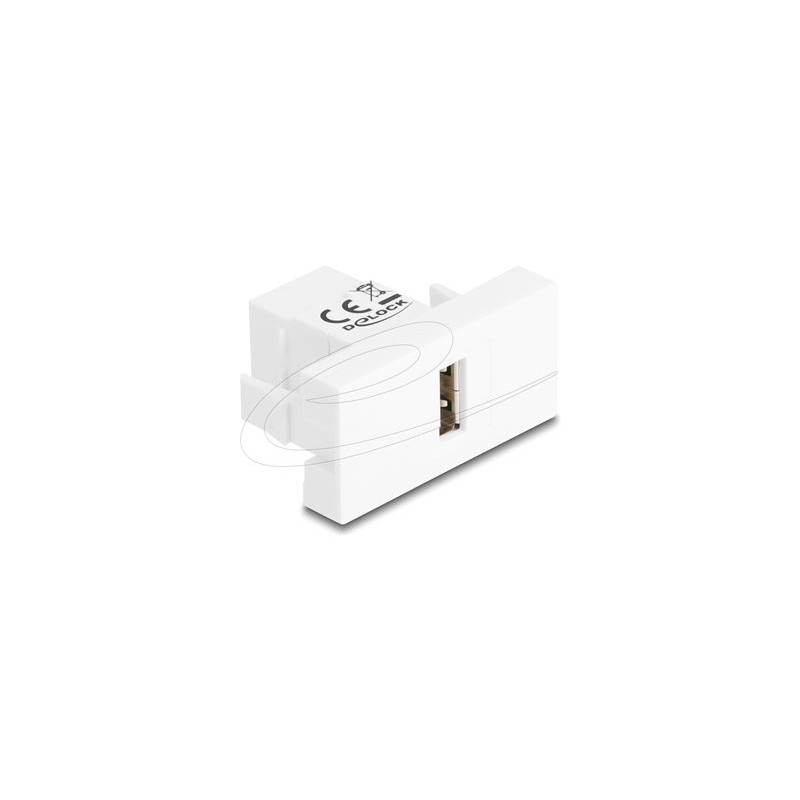 Delock - Easy 45 - zacvakávací modul - USB 2.0 - USB typ B - 1 souprava - bílá