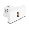 Delock - Easy 45 - zacvakávací modul - USB 2.0, samice - USB - 1 zásuvka USB - 1 modul - bílá 90908