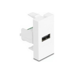 Delock - Easy 45 - zacvakávací modul - USB 2.0, samice - USB - 1 zásuvka USB - 1 modul - bílá 90911