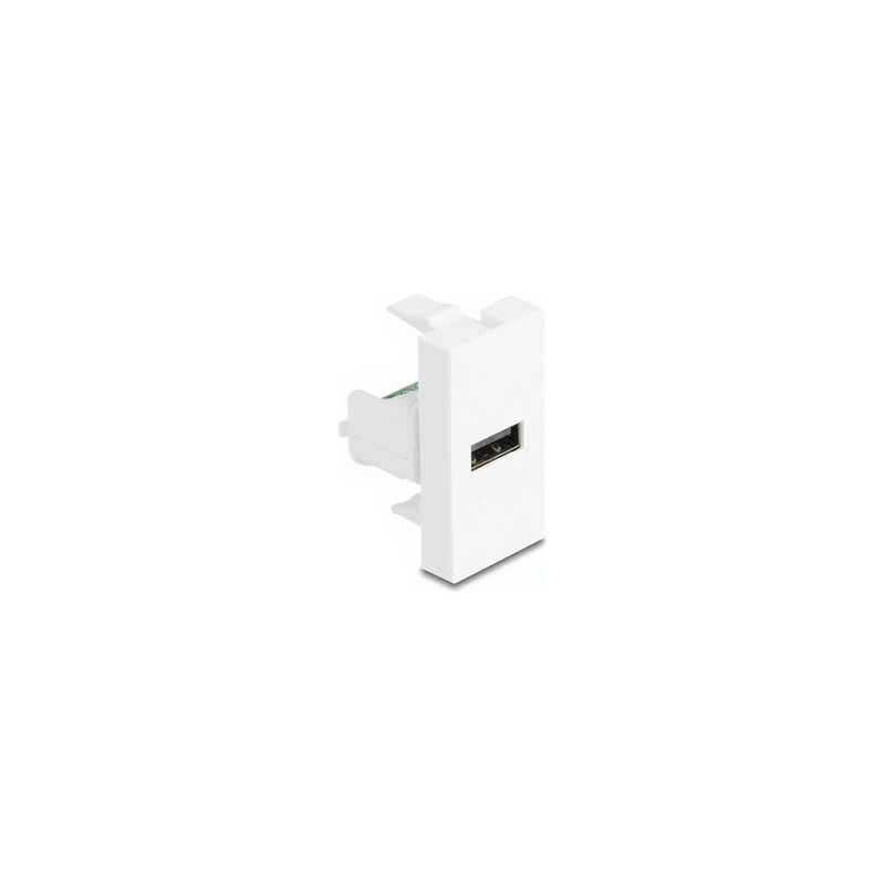 Delock - Easy 45 - zacvakávací modul - USB 2.0, samice - USB - 1 zásuvka USB - 1 modul - bílá 90911
