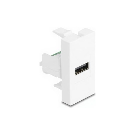 Delock - Easy 45 - zacvakávací modul - USB 2.0, samice - USB - 1 zásuvka USB - 1 modul - bílá 90911