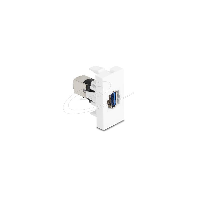 Delock - Easy 45 - zacvakávací modul - 5 Gbps - USB - 1 souprava - bílá 90910