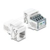 Delock - Modul keystone - RJ-11 (F) do blok svorkovnice se 4 kolíky - nestínený - CAT 3 - bílá