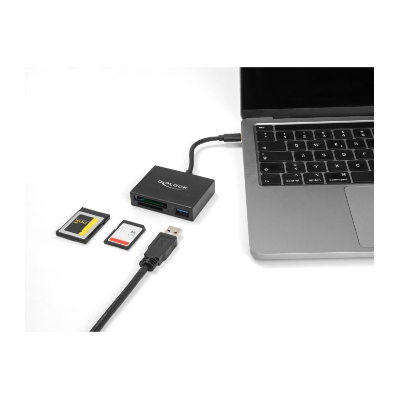 Delock - Ctecka karet (SD, XQD 2.0) - USB-C