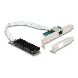 Delock - Sítový adaptér - M.2 2280 (B+M Key) nízký profil - 100M/1G/2.5G/5G/10 Gigabit Ethernet