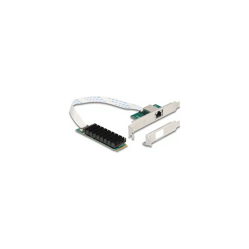 Delock - Sítový adaptér - M.2 2280 (B+M Key) nízký profil - 100M/1G/2.5G/5G/10 Gigabit Ethernet
