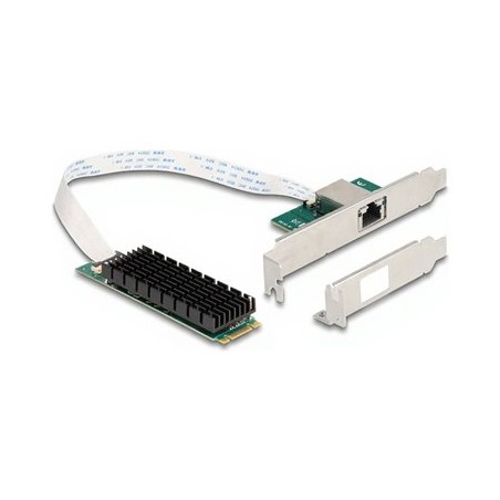 Delock - Sítový adaptér - M.2 2280 (B+M Key) nízký profil - 100M/1G/2.5G/5G/10 Gigabit Ethernet