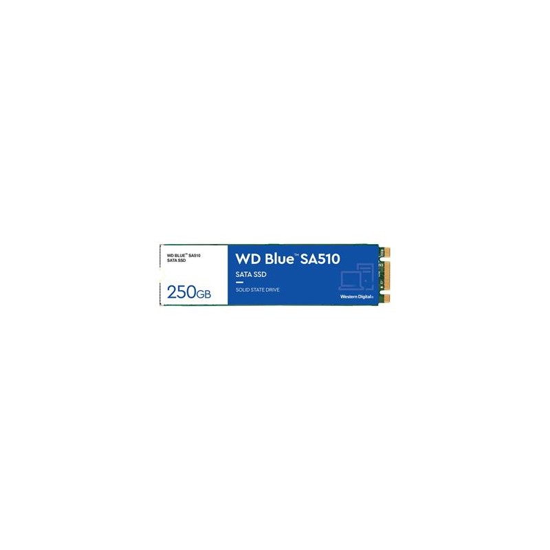 WD Blue SA510 POWERED BY SANDISK/250GB/SSD/M.2 SATA/5R WDS250G3B0B00AXS0