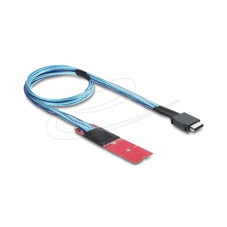 Delock M.2 Key M to 1 x OCuLink SFF-8611, Delock M.2 Key M to 1 x OCuLink SFF-8611