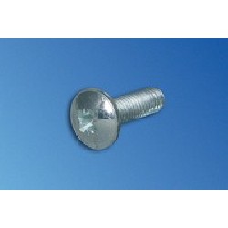 Vertiv Screw OH PHL M5X10MM Form Z/