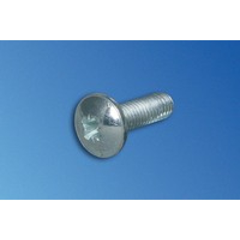 Vertiv Screw OH PHL M5X10MM Form Z/