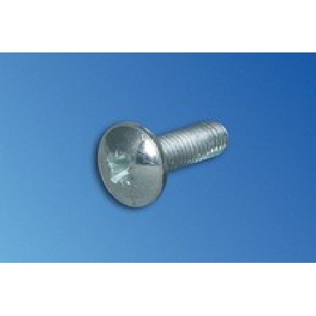 Vertiv Screw OH PHL M5X10MM Form Z/