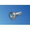 Vertiv Screw OH PHL M5X10MM Form Z/