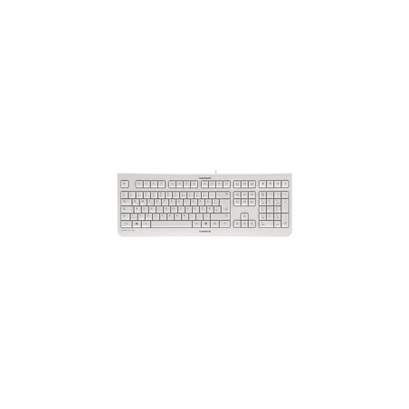 CHERRY KC 1000 GREY KEYBOARD/USB SWISS