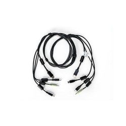 CABLE1DISPLAYPORT2USB 1 AUDIO6F/AUDIO6FT SC845D